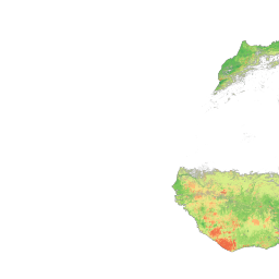 Map Visualization